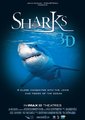 Sharks 3D海报