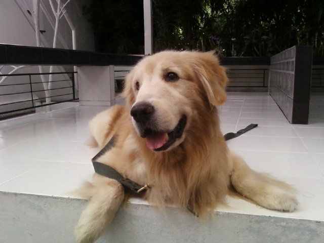 爱在旅途+-+电视剧图片