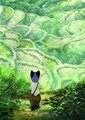 古斯柯布多力传记 2012 