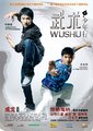 武术之少年行海报