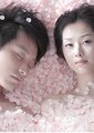 樱花心中