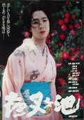 夜叉池 海报