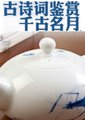 古诗词鉴赏：千古明月