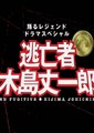 大搜查线特别篇-逃亡者木岛丈一郎