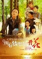 所有梦想都开花海报