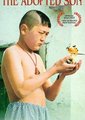 吉尔吉斯少年行海报