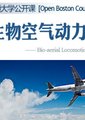 生物空气动力学