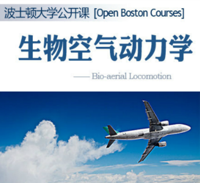 生物空气动力学