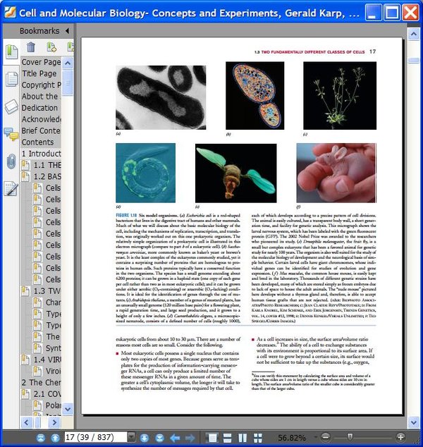 IPB Image