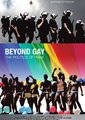 Beyond Gay: The Politics of Pride