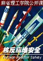 核反应堆安全