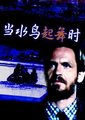 当水鸟起舞时海报