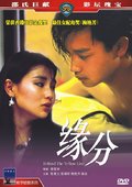 缘份 海报