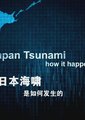 日本海啸是如何发生的