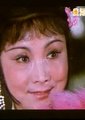 《抬花轿》豫剧海报