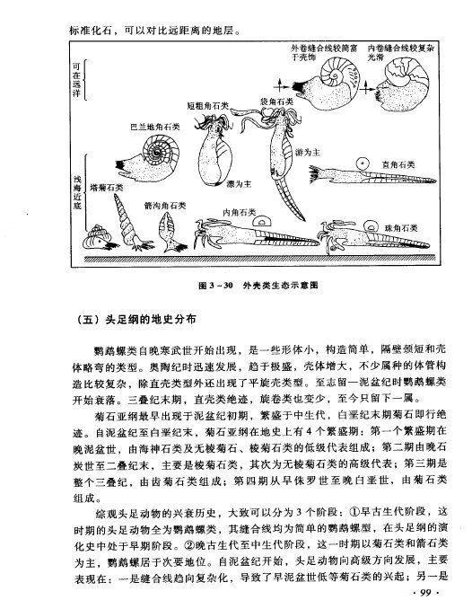 IPB Image