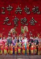 2012央视元宵晚会海报