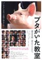 小猪教室海报