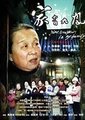 家有九凤海报