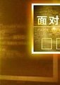 CCTV-NEWS 面对面