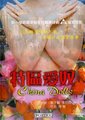 特区爱奴海报