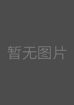 小小鸟智斗黑猫 海报