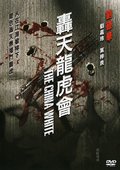 轰天龙虎会 海报