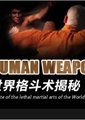 世界格斗术揭秘系列