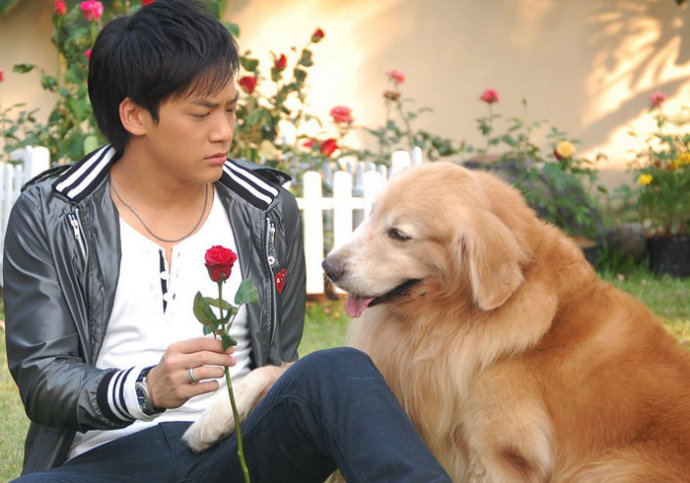 爱在旅途+-+电视剧图片