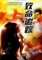 危险追踪海报