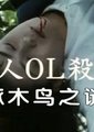 啄木鸟之谜海报