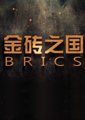金砖之国