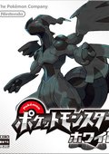 口袋妖怪：白 海报