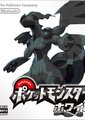 口袋妖怪：白海报