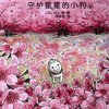 守护星星的小狗(续)