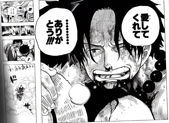 感动无处不在!《one piece 海贼王》展体验记