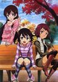 真实之泪