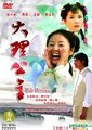 大理公主海报