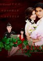 无刺玫瑰海报