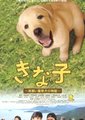 实习警犬物语