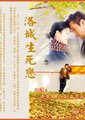 洛城生死恋海报