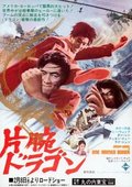 独臂拳王 海报