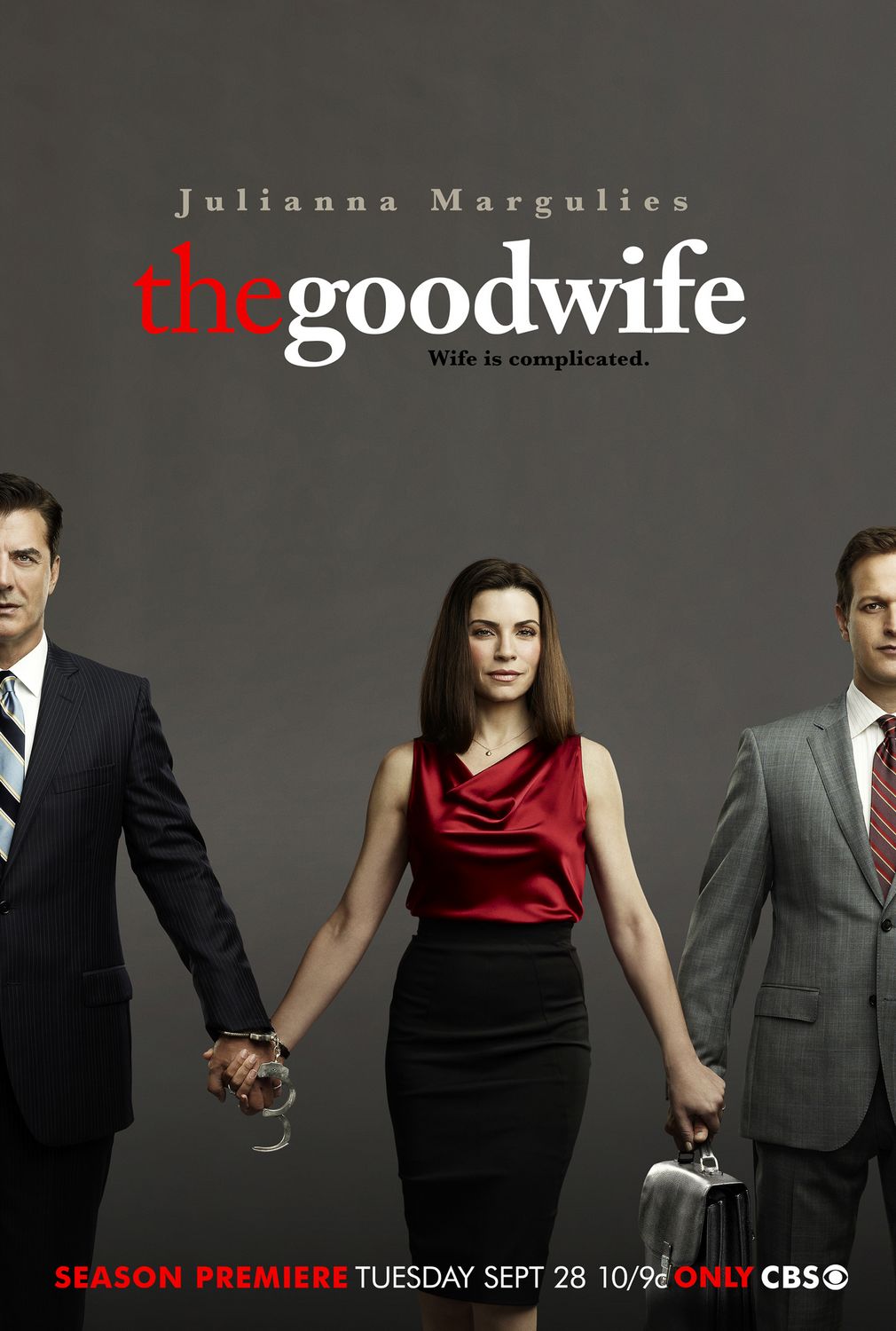 傲骨贤妻 第二季(the good wife season 2) - 电视剧图片 | 电视剧