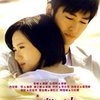 一不小心爱上你(6DVD)