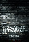 真枪假证 海报