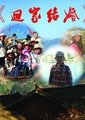 回家结婚