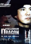 红墙盗影 海报