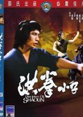 洪拳小子 海报