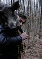 野猪狩猎的几个场景海报
