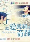 给爱丽丝的奇迹海报
